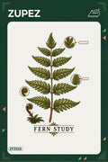 ZPZ820 – Fern Study Ütüyle Uygulanabilir Transfer Baskı ana ürün görseli
