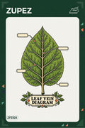 ZPZ824 – Leaf Vein Diagram Ütüyle Uygulanabilir Transfer Baskı ana ürün görseli