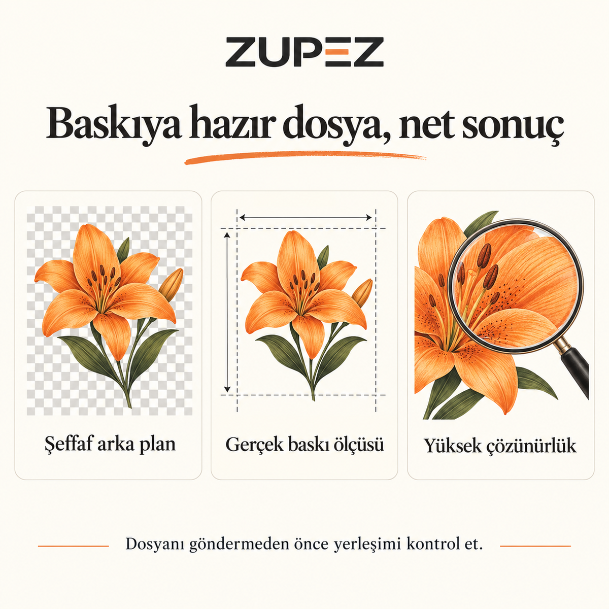 DTF baskı dosyası hazırlama rehberi: şeffaf arka plan, gerçek baskı ölçüsü ve yüksek çözünürlük.